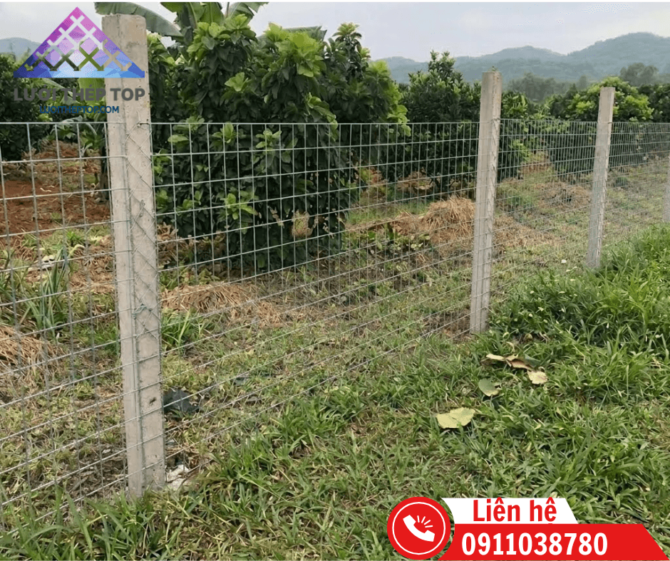 Báo giá lưới thép hàng rào tại Tây Ninh – Giá Tốt, Giao Nhanh 