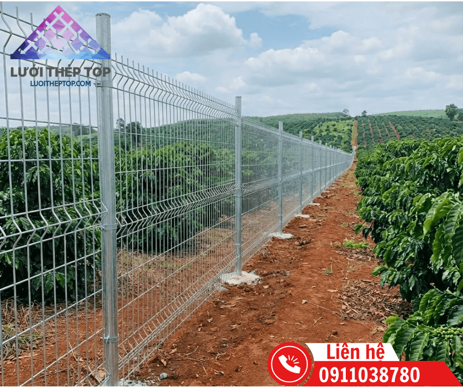Báo Giá Hàng Rào Lưới Thép Hàn Đắk Lắk 2026 – Chuyên Rào Rẫy, Trang trại Giá Rẻ