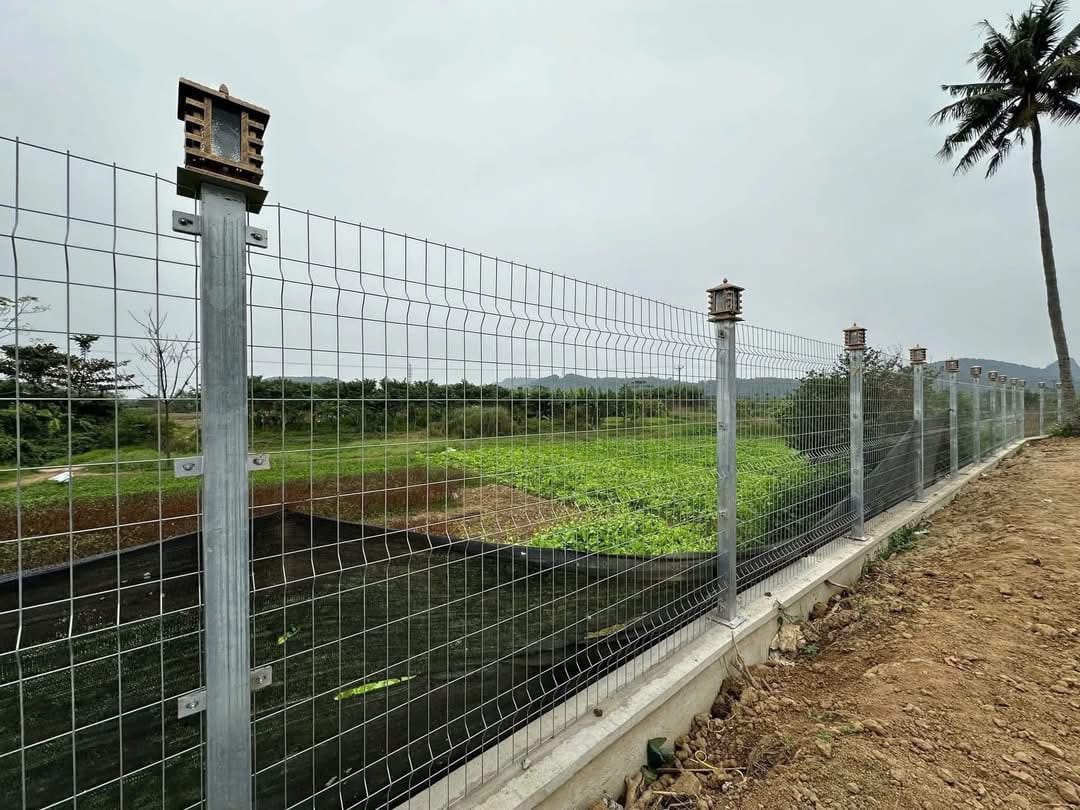 Hàng rào lưới thép hàn điện phân phù hợp với các công trình quy mô lớn giúp tiết kiệm chi phí
