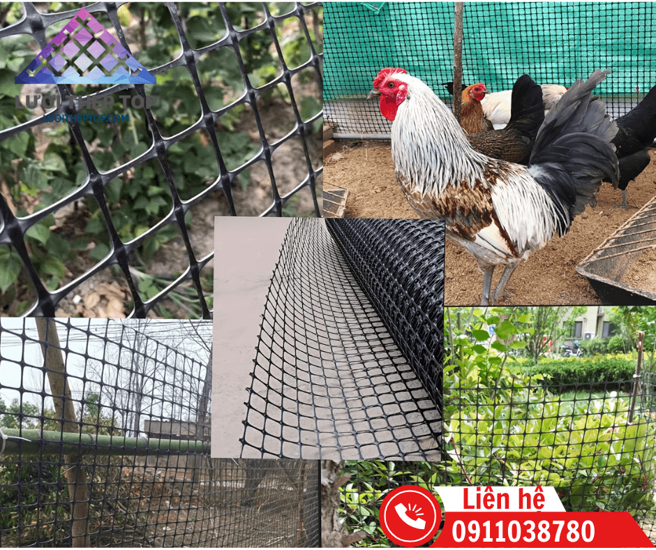 Lưới nhựa đen HDPE dùng làm rào vườn và chuồng trại chăn nuôi